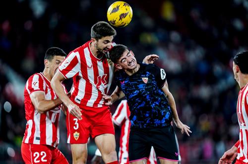 Bet Operation: Best Practices for Homeowners